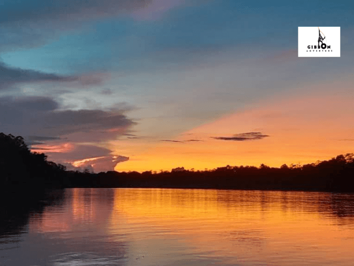 sunset view during the kinabatangan river cruise