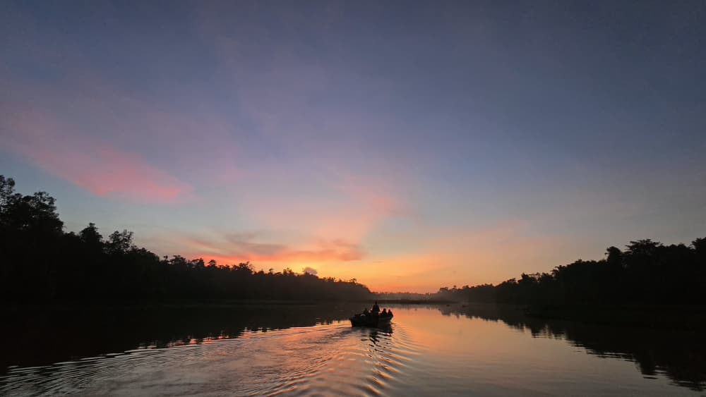 sunset rivercruise at kinabatangan river during late afternoon cruise